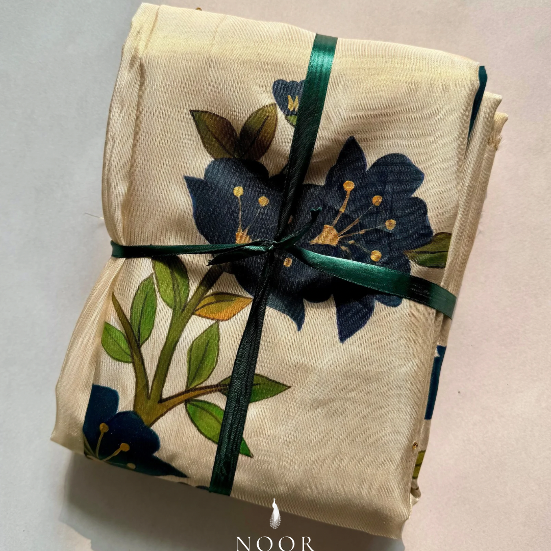 hand painted saree in tissue by noor by hansa / packaging
