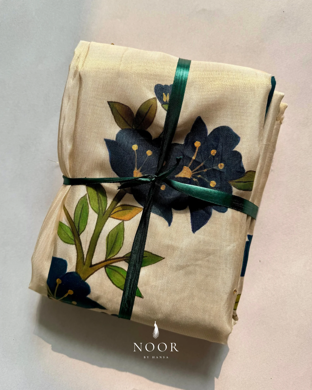 hand painted saree in tissue by noor by hansa / packaging