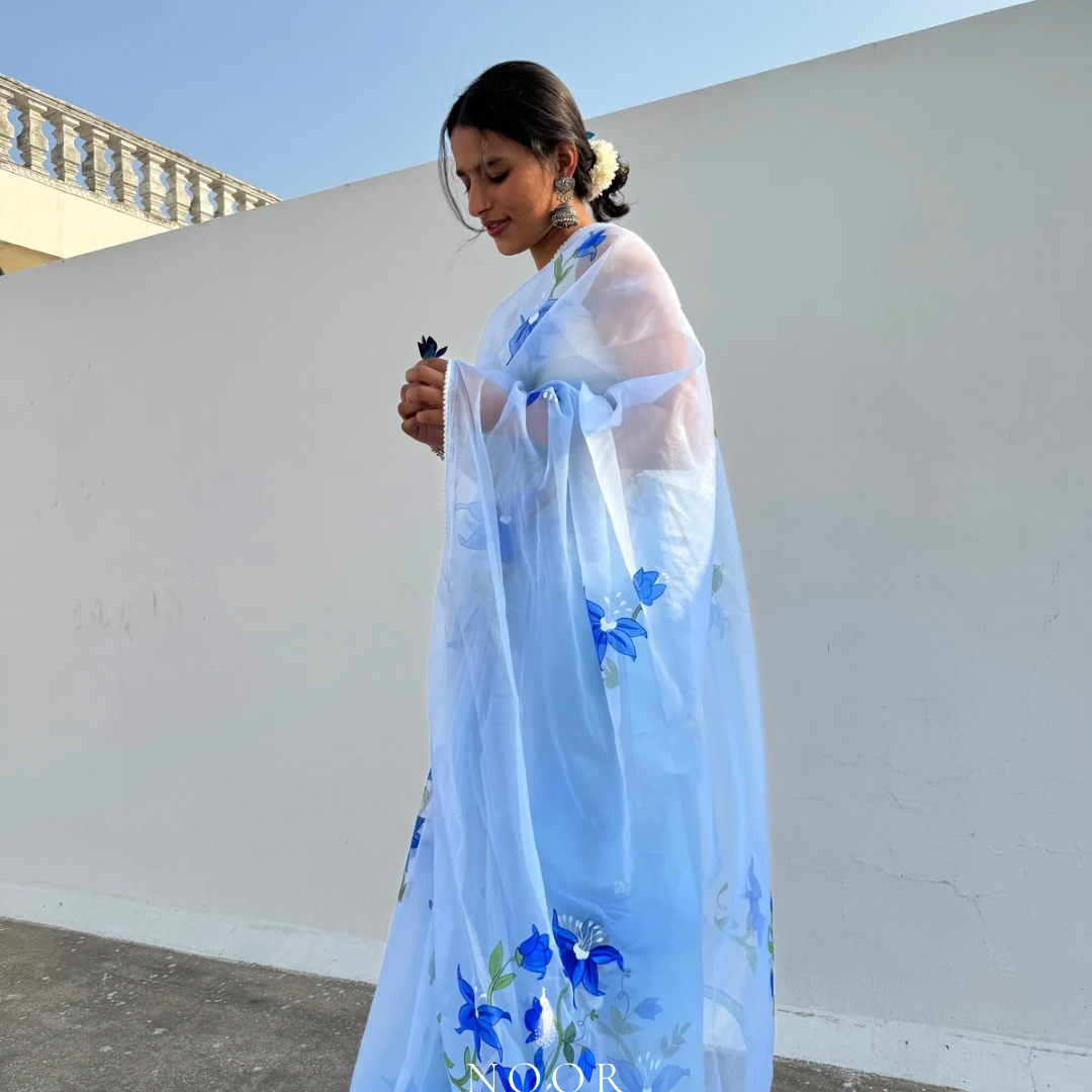hand painted saree in pure organza silk by noor by hansa in sky blue colour paired with a white blouse piece
