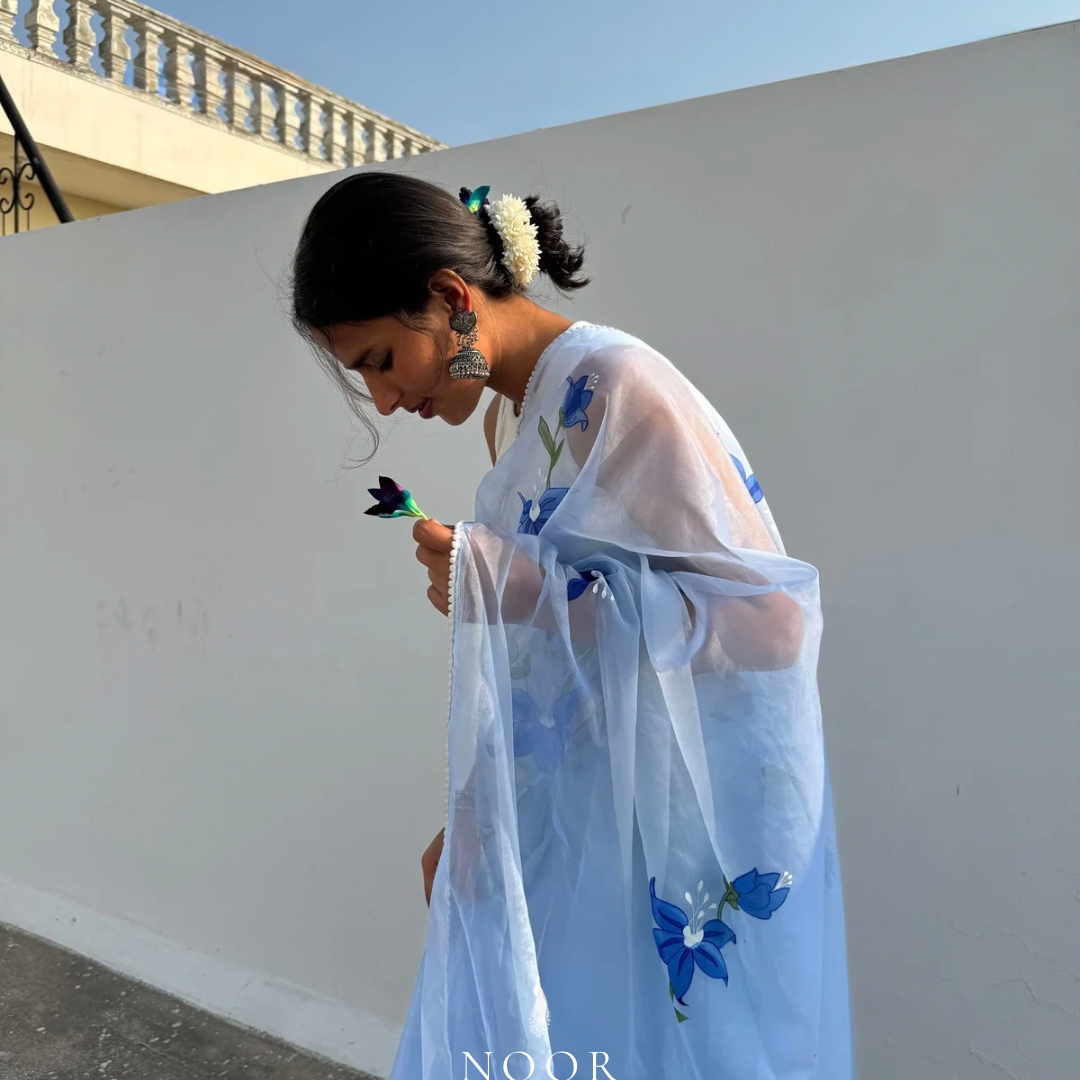 hand painted saree in pure organza silk by noor by hansa in sky blue colour paired with a white blouse piece