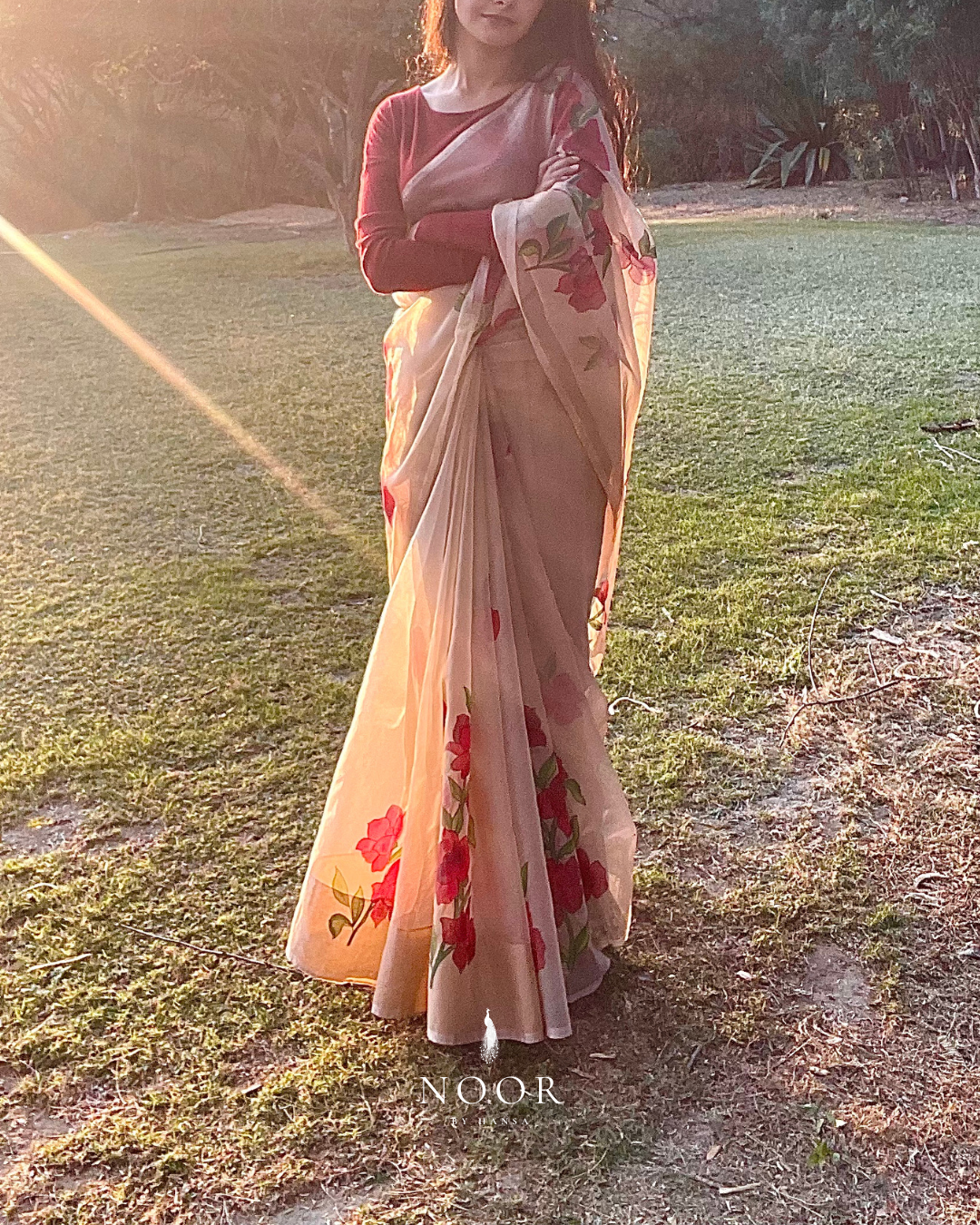 hand painted saree in pure organza silk by noor by hansa in beige colour paired with a pure cotton blouse piece