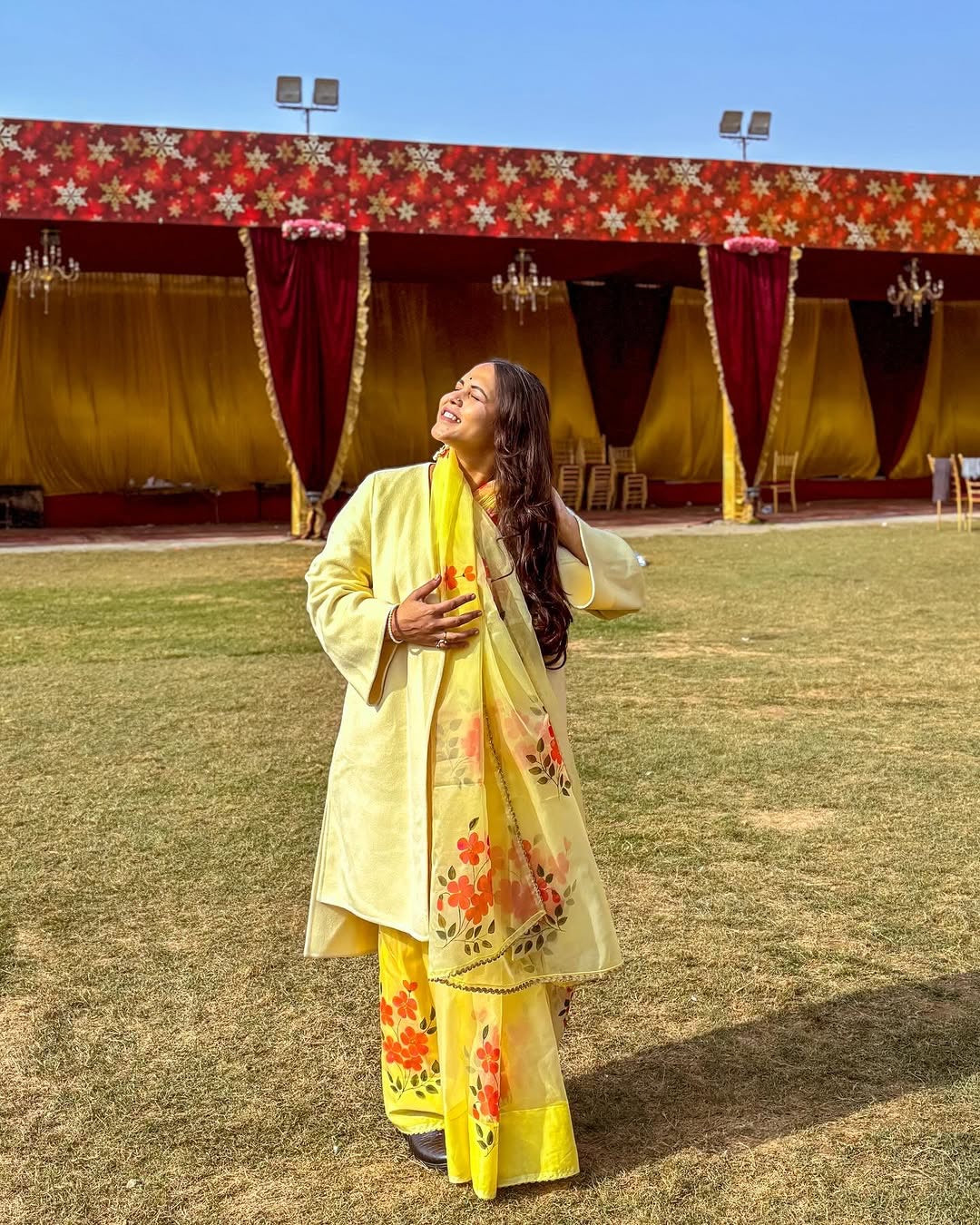 hand painted saree in pure organza silk by noor by hansa in yellow colour paired with a pure cotton blouse piece