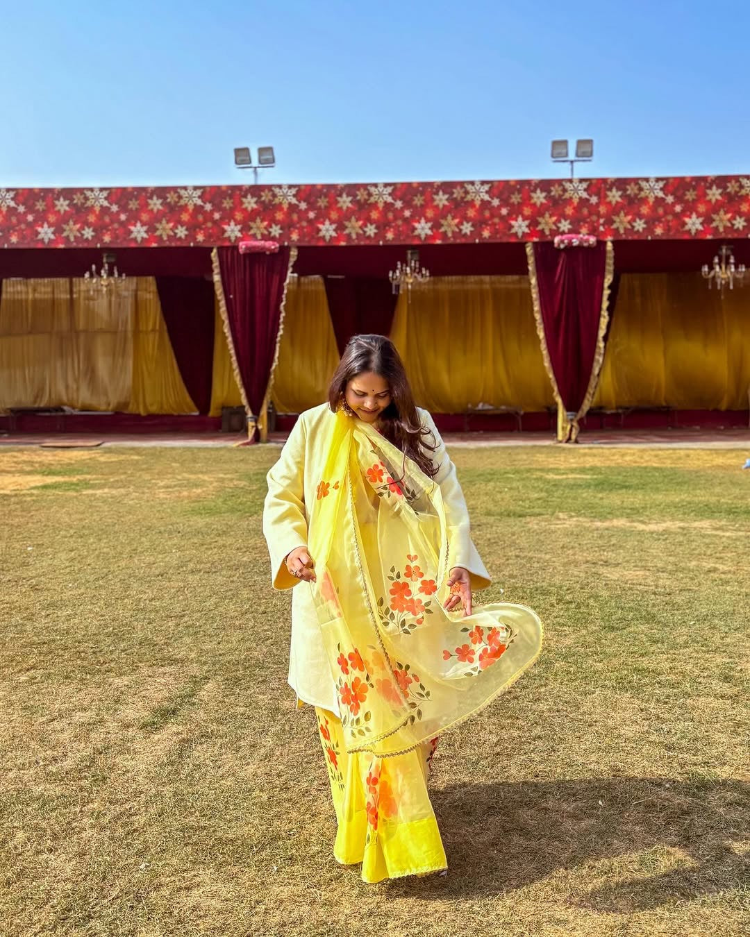 hand painted saree in pure organza silk by noor by hansa in yellow colour paired with a pure cotton blouse piece