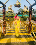 hand painted saree in pure organza silk by noor by hansa in yellow colour paired with a pure cotton blouse piece customer review